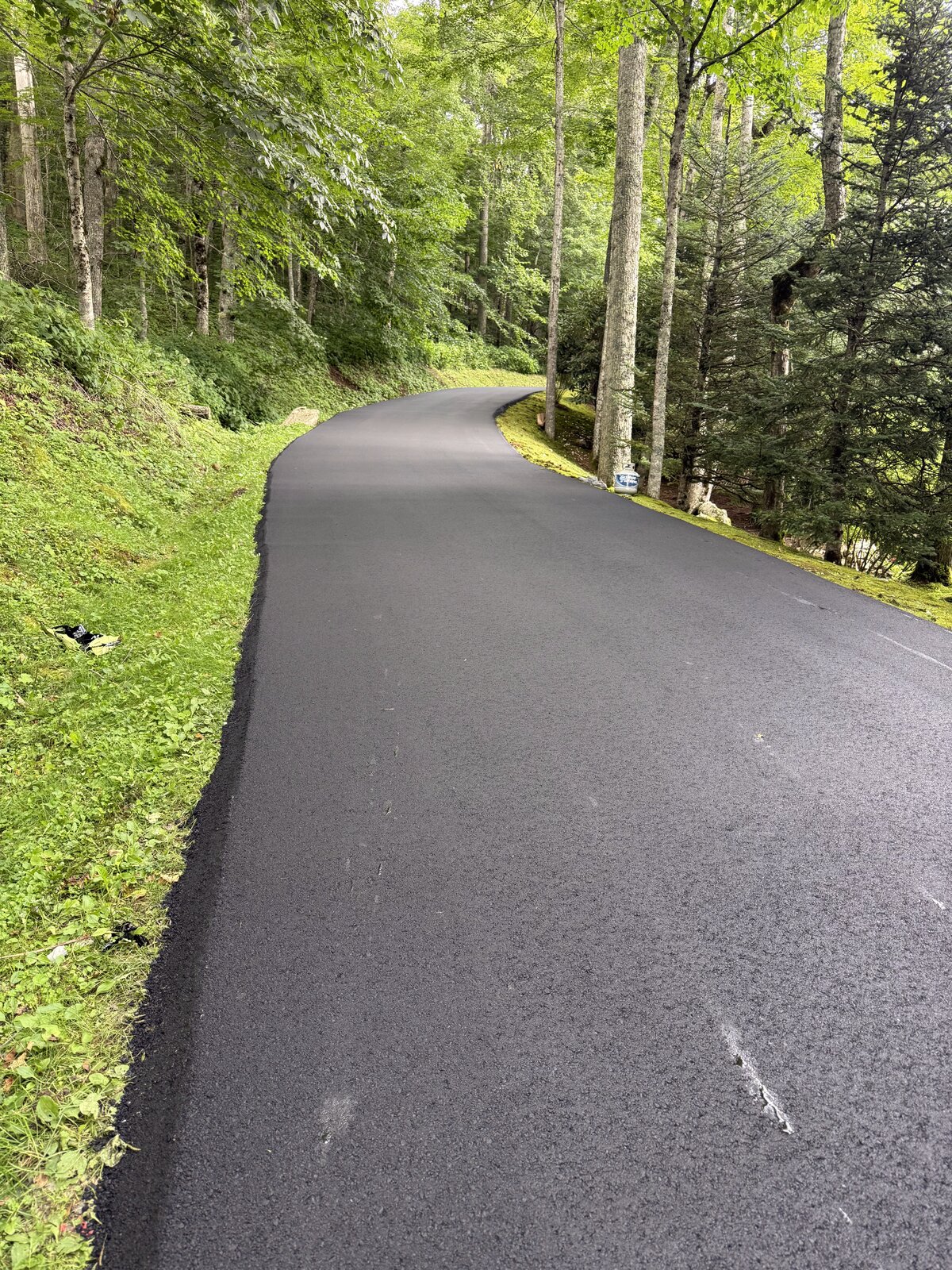 Smooth paved driveway winding through a wooded lot